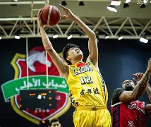 官方网页版登录入口-西甲联赛直播在线观看免费