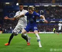 多特蒙德状态火爆锁定德甲半程冠军,全队身价首破5亿