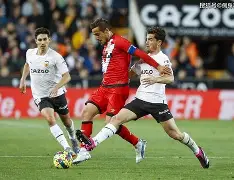 官方网页版登录入口-今日足彩最新伤停情况