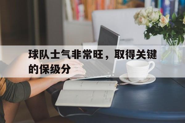 足球队保级什么意思
