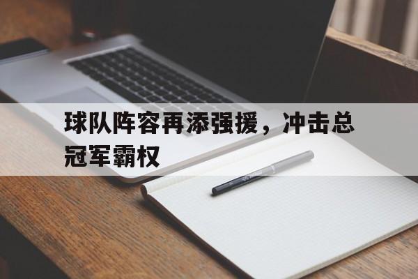 球队阵容再添强援,冲击总冠军霸权是什么