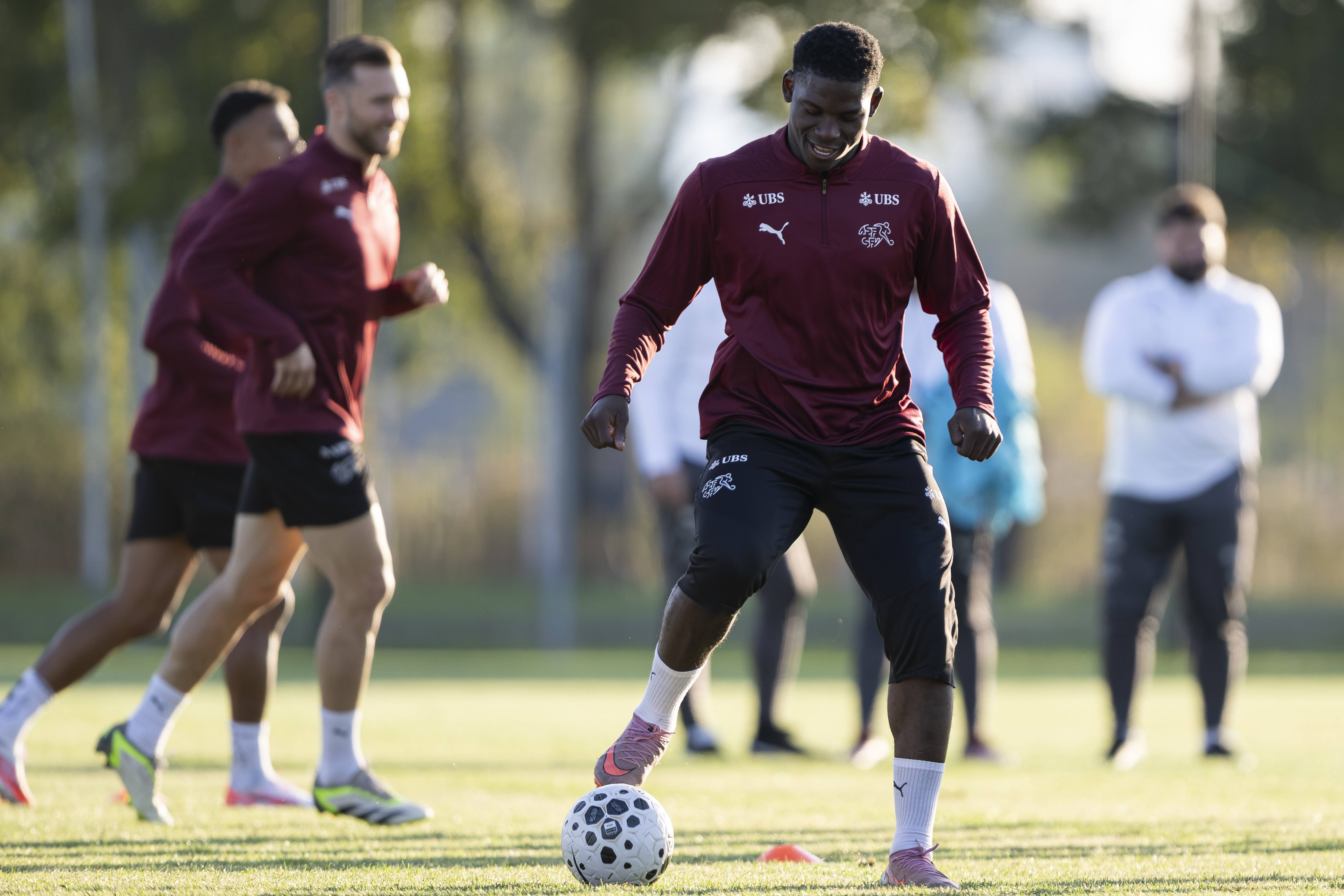 官方网页版登录入口-瑞士足球队球员