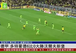 多特蒙德队的哈兰德是哪国人