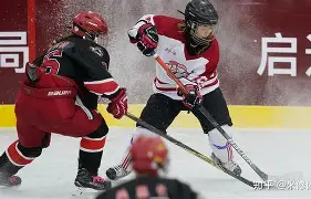 官方网页版登录入口-哈尔滨队加入比赛,实力备受质疑的队员