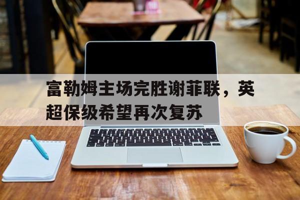 官方网页版登录入口-富勒姆vs谢菲联