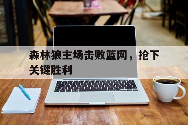 官方网页版登录入口-2021年3月30日森林狼vs篮网